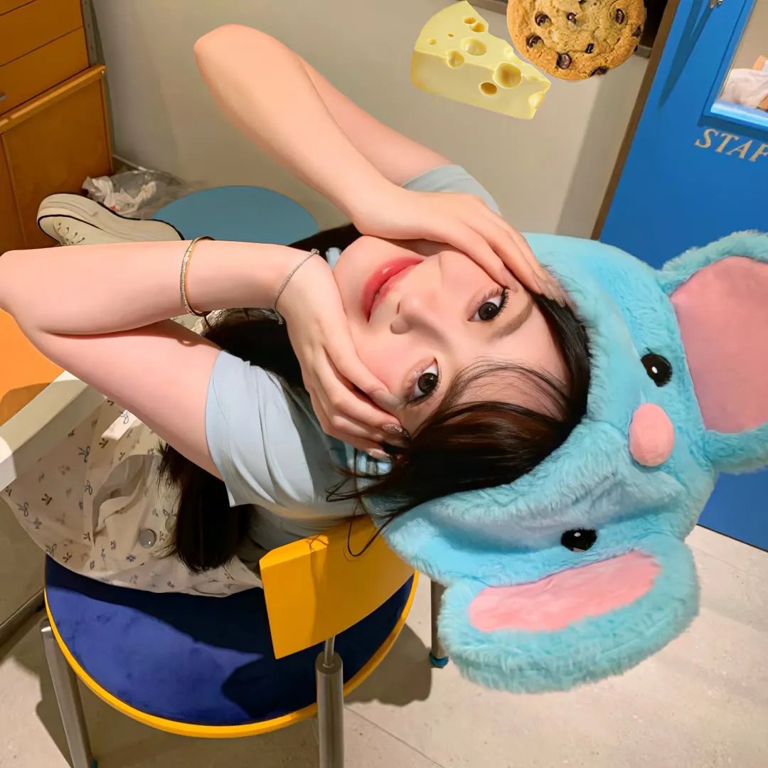 我们恋爱的履历