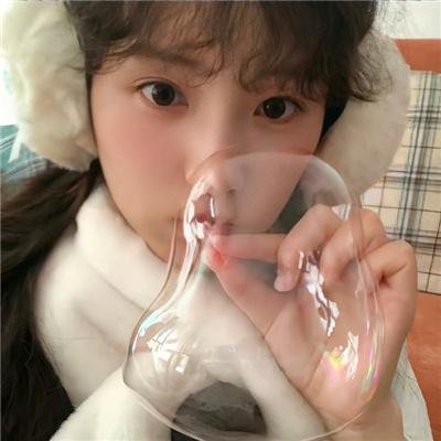 莫丽的朝圣